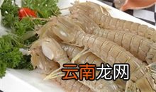 皮皮虾百科 皮皮虾是什么虾