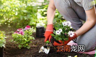 扶农贷养殖场注意什么 养殖扶贫款怎么贷