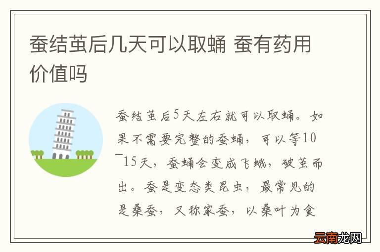蚕结茧后几天可以取蛹 蚕有药用价值吗