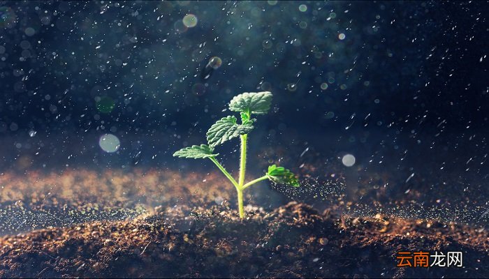 暴雨在哪种云层中形成 暴雨常在哪种云团中形成
