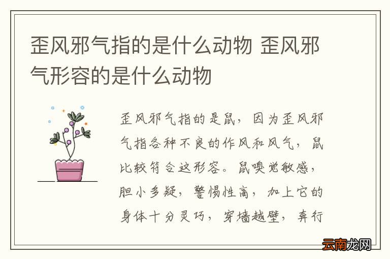 歪风邪气指的是什么动物 歪风邪气形容的是什么动物