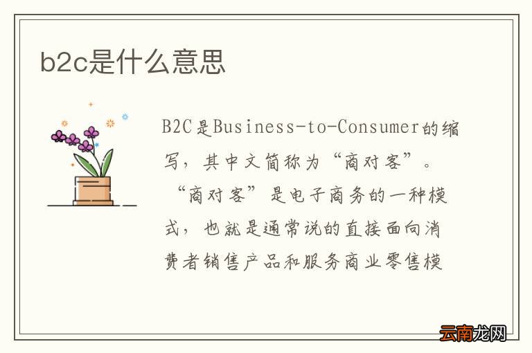 b2c是什么意思