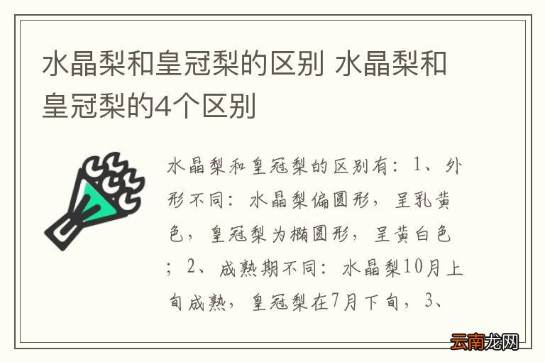 水晶梨和皇冠梨的区别 水晶梨和皇冠梨的4个区别