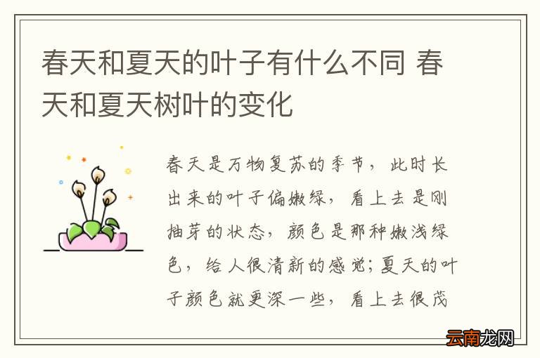 春天和夏天的叶子有什么不同 春天和夏天树叶的变化