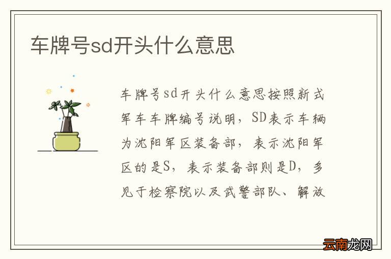 车牌号sd开头什么意思