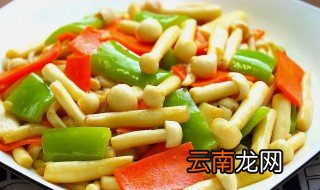 海鲜菇怎么烧? 海鲜菇怎么烧好吃