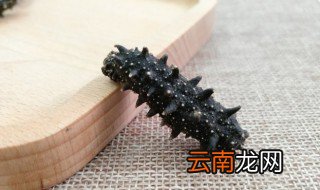 海参炖汤怎么炖 海参炖汤怎么炖好吃