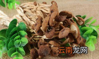 茶树菇怎么烧汤好喝 茶树菇怎么烧