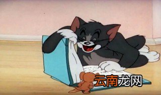 会顶嘴的汤姆猫怎么下，汤姆猫捂嘴