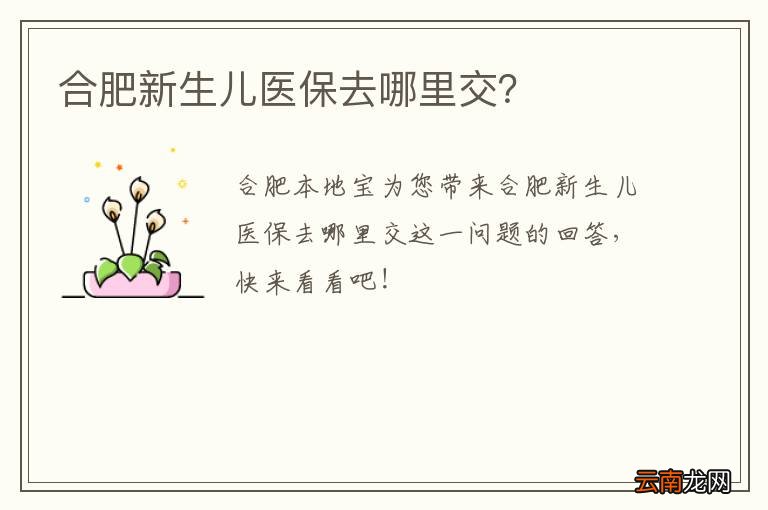 合肥新生儿医保去哪里交？