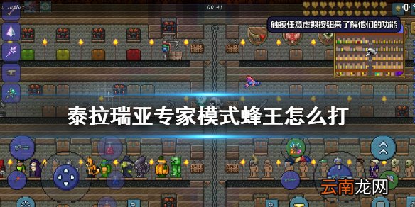 泰拉瑞亚专家模式蜂王怎么打 泰拉瑞亚蜂王打法攻略