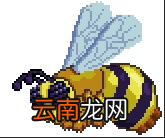 泰拉瑞亚专家模式蜂王怎么打 泰拉瑞亚蜂王打法攻略