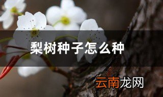 用梨树种子播种方法 种后几年才能结果