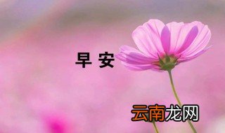 发朋友圈的早安语 发朋友圈的早安语有哪些
