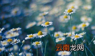 社会经典语录霸气 社会霸气经典语录
