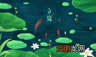 描写立夏的优美句子 描写立夏节的句子