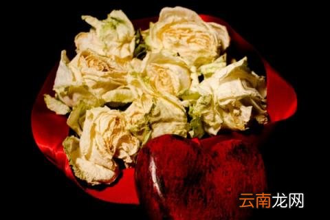 花干了浇水还能活吗