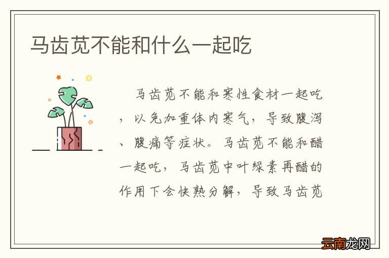 马齿苋不能和什么一起吃