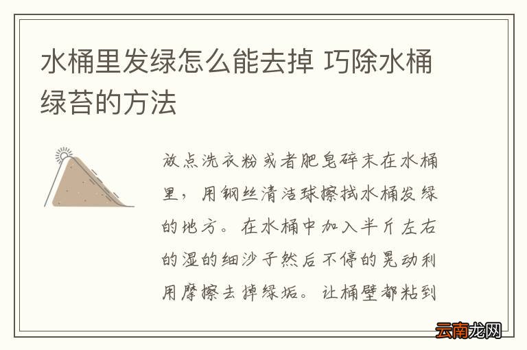 水桶里发绿怎么能去掉 巧除水桶绿苔的方法