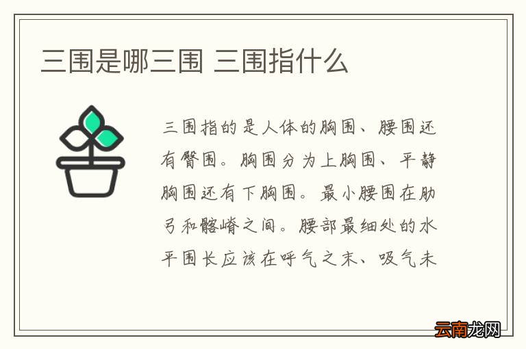 三围是哪三围 三围指什么