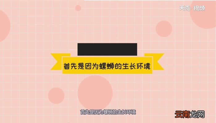 螺蛳有寄生虫吗螺蛳有没有寄生虫呢