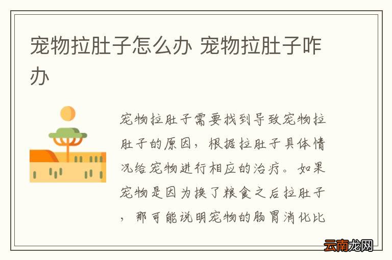 宠物拉肚子怎么办 宠物拉肚子咋办