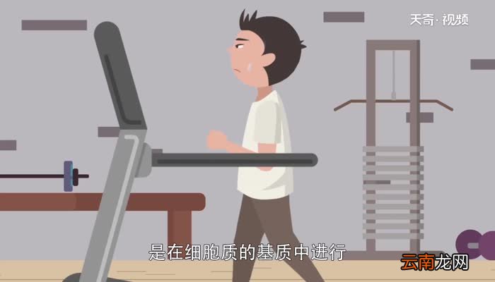 有氧呼吸第一阶段场所 有氧呼吸第一阶段场所是哪里