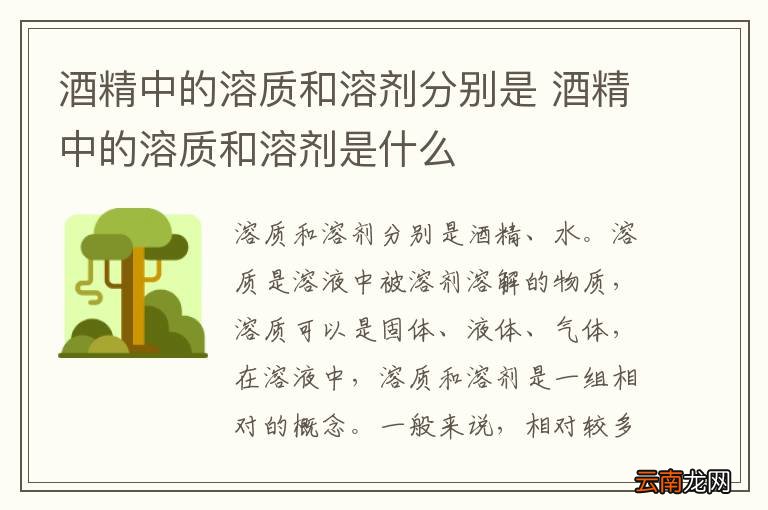 酒精中的溶质和溶剂分别是 酒精中的溶质和溶剂是什么