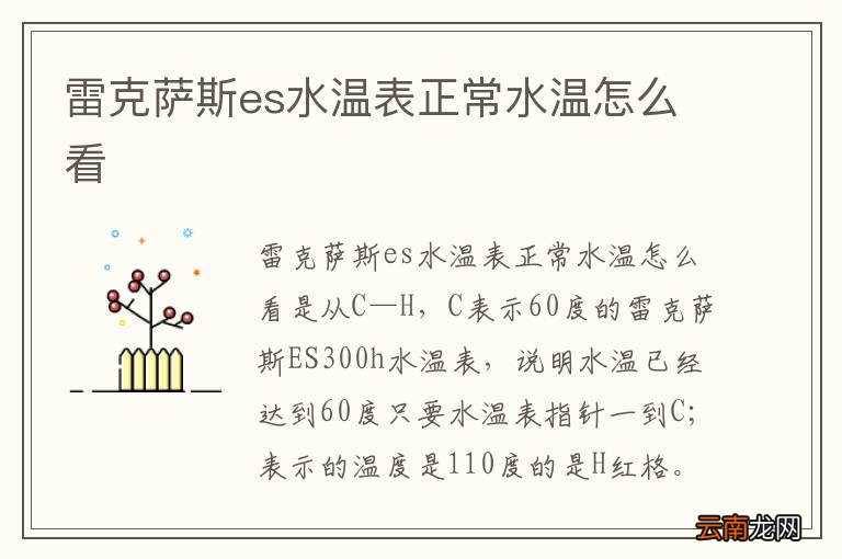雷克萨斯es水温表正常水温怎么看