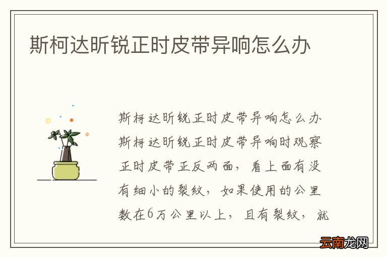 斯柯达昕锐正时皮带异响怎么办