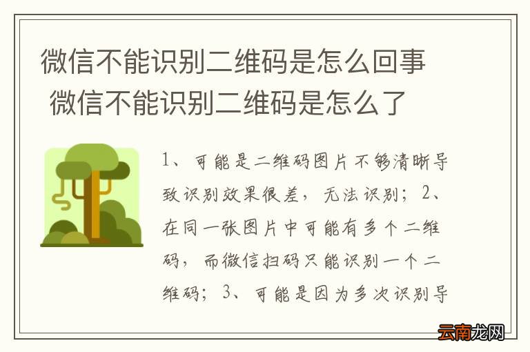 微信不能识别二维码是怎么回事 微信不能识别二维码是怎么了