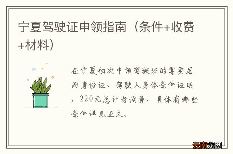 条件+收费+材料 宁夏驾驶证申领指南