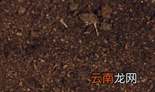 土壤改善的方法 如何改善土壤肥力