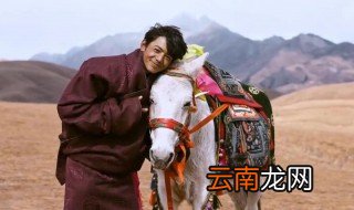 丁真争夺战是什么梗 丁真争夺战是什么意思