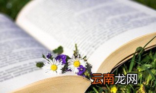 杜淳蛋饺肉丝什么意思 杜淳蛋饺肉丝解释