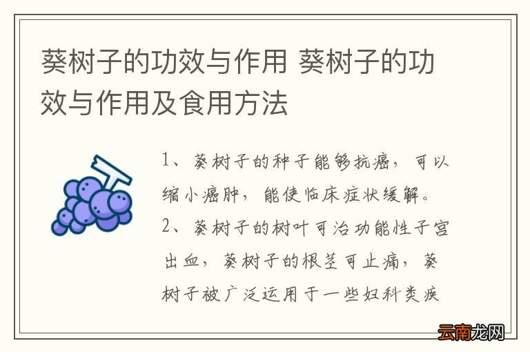 葵树子的功效与作用 葵树子的功效与作用及食用方法