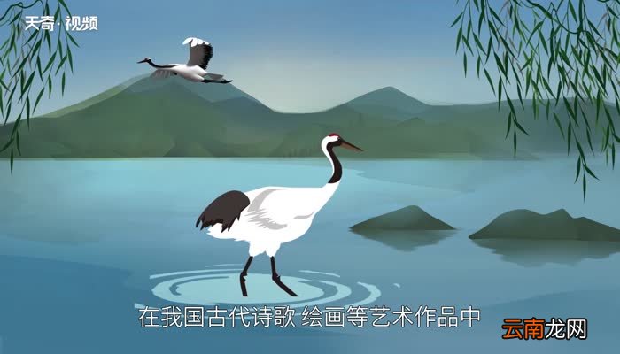 鹤顶红是什么鹤顶红是什么颜色