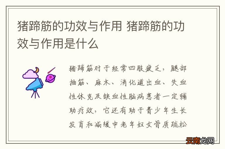 猪蹄筋的功效与作用 猪蹄筋的功效与作用是什么