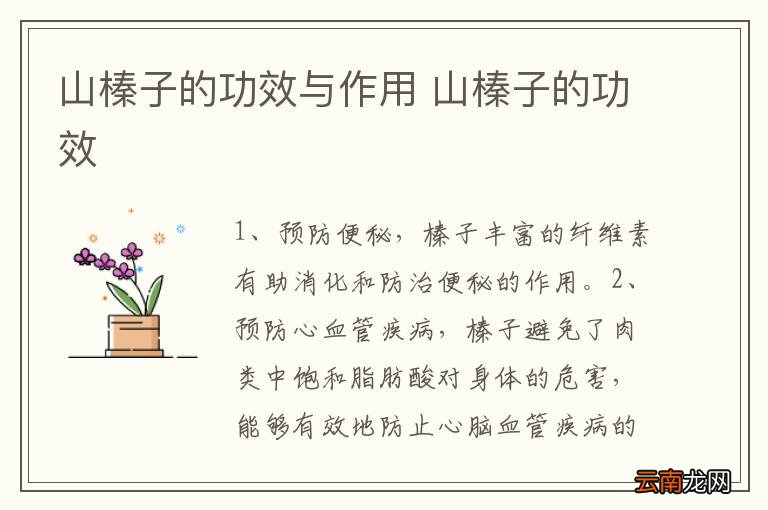 山榛子的功效与作用 山榛子的功效