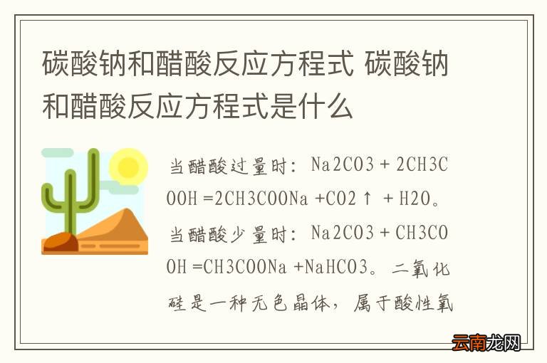 碳酸钠和醋酸反应方程式 碳酸钠和醋酸反应方程式是什么