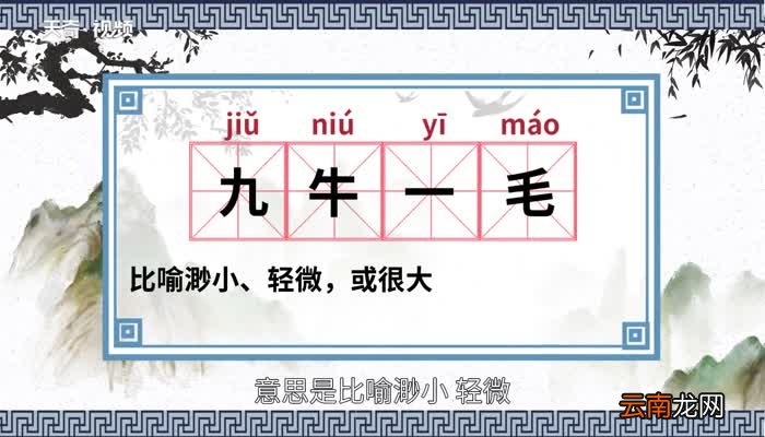 九牛一毛的意思 九牛一毛的出处