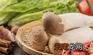 杏鲍菇有几种做法好吃 杏鲍菇既简单又好吃的做法