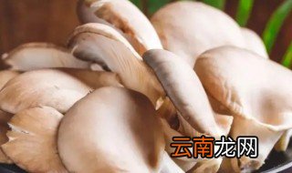 新鲜蘑菇怎么晒干，新鲜蘑菇怎么晒蘑菇干