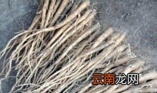 桔梗怎么晒干 桔梗怎么晒干才好