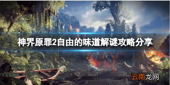神界原罪2自由的味道门怎么开 自由的味道解谜攻略分享