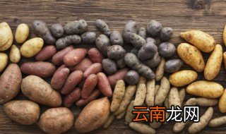 水培红薯步骤 红薯切块水培方法