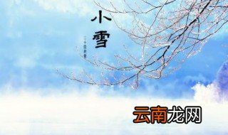 小雪节气吃什么 小雪节气适合吃什么