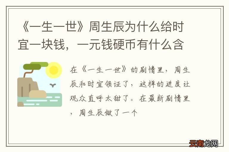 《一生一世》周生辰为什么给时宜一块钱，一元钱硬币有什么含义？