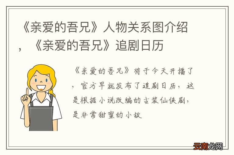 《亲爱的吾兄》人物关系图介绍，《亲爱的吾兄》追剧日历