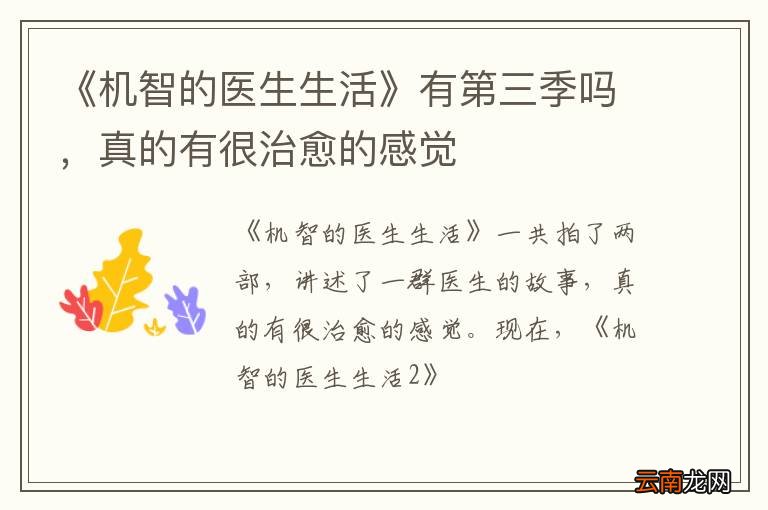 《机智的医生生活》有第三季吗，真的有很治愈的感觉